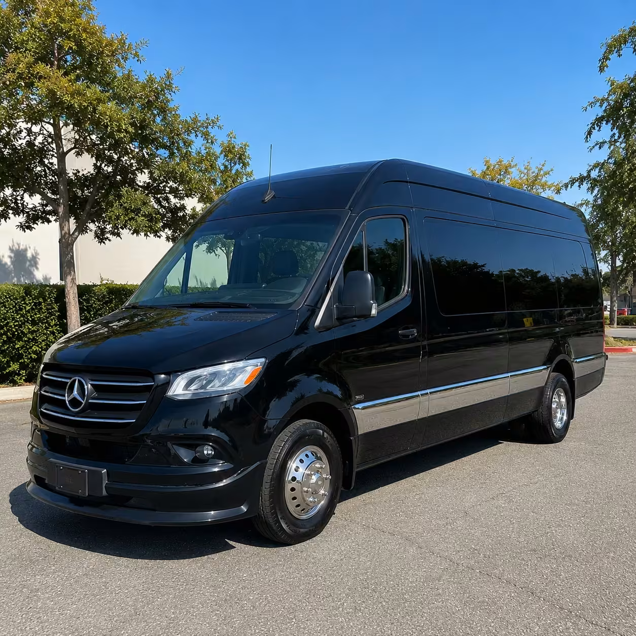 14 passenger sprinter limousine