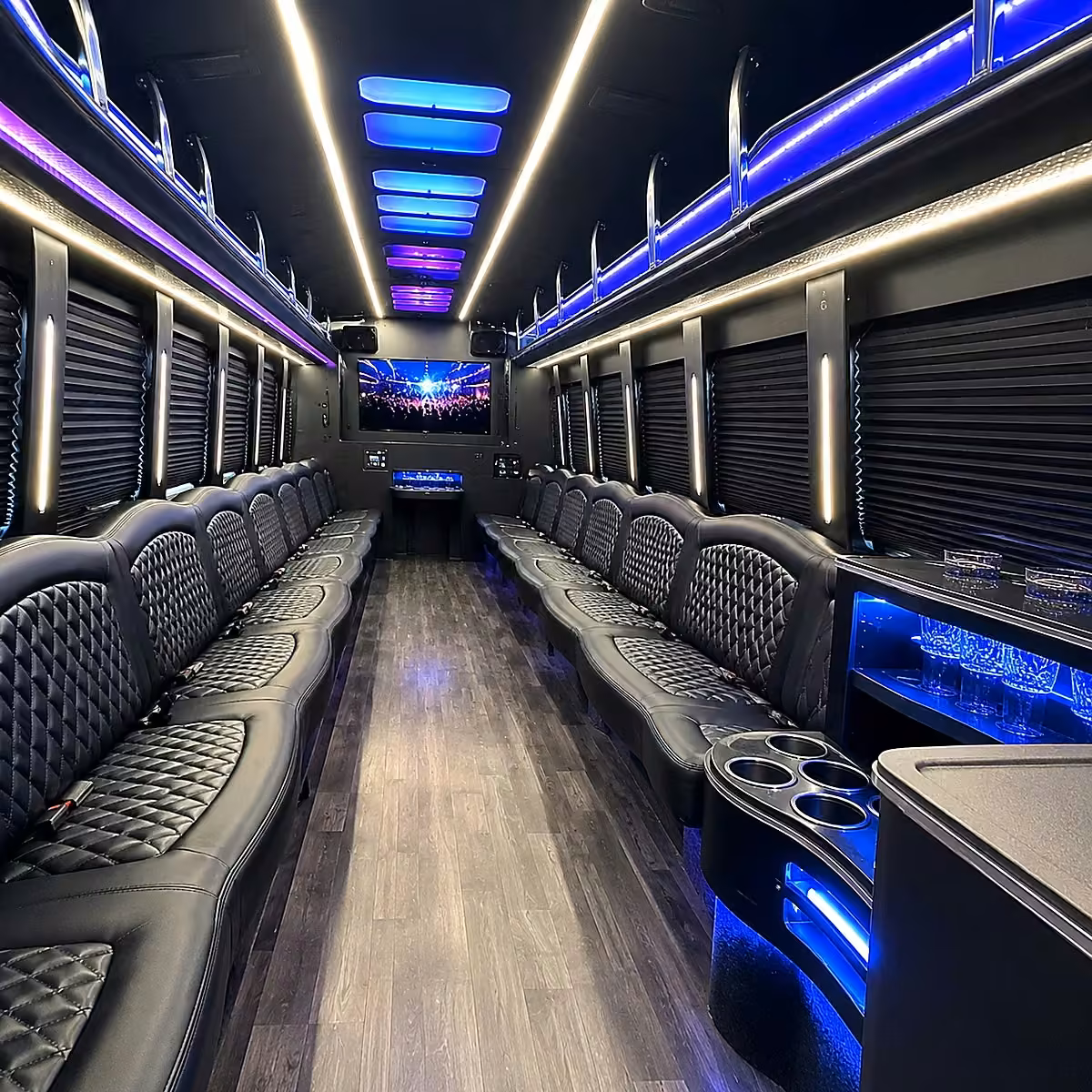 50 passenger party bus interior